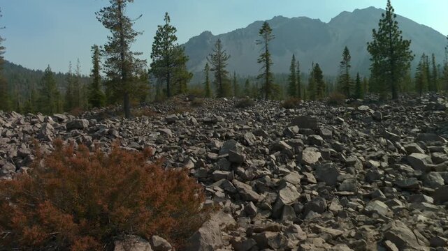 Barren field of volcanic rocks and pine trees in Lassen Volcanic National Park, California