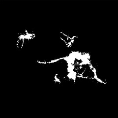 Obraz premium Grunge birds droppings black and white. Flat blots style vector illustration. Map. Abstract paint drop. 