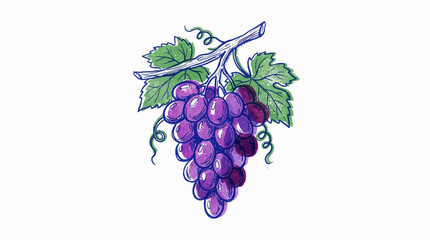 Obraz premium Hand drawn illustration of a fresh purple grape bunch with green leaves on a white background