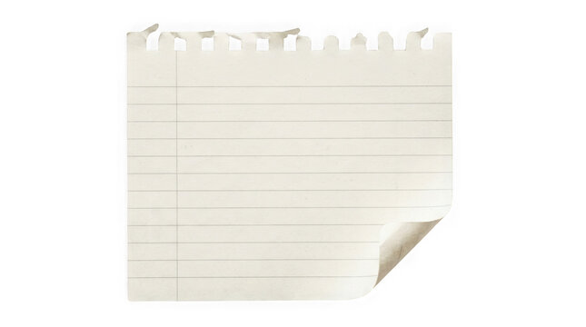 Torn piece of lined paper with a curled corner isolated on transparent background