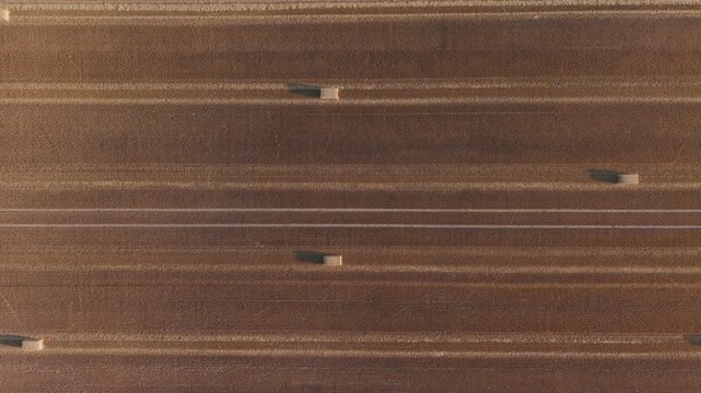 A top-down aerial view of a harvested agricultural field featuring evenly spaced round hay bales and parallel tractor tracks.