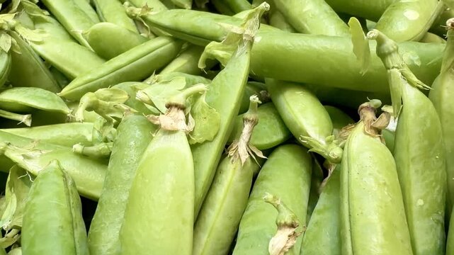 Close-Up of Pea Pods Pile at Market
