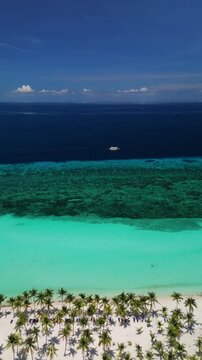 Vertical drone slides left over Dumaluan Beach, showing white sand, palm trees, turquoise shallows, coral reef, and deep blue water