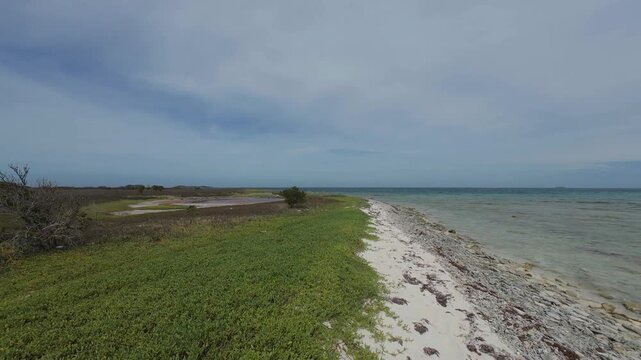 wide-angle view of remote tropical shoreline, highlighting the pristine beauty of untouched nature with gren grass pirijillo and the calm Caribbean Sea