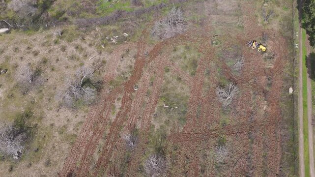 A static overhead drone view of a vineyard showing a tractor tilling the soil. The contrast between the freshly turned earth, the unworked rows, and nearby fig trees highlights the agricultural work.