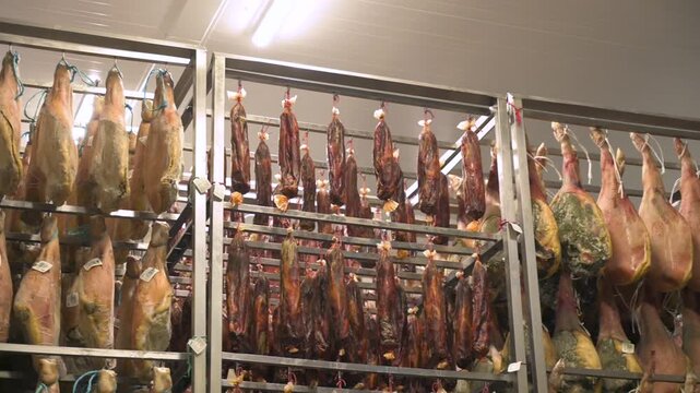 Rows of traditional Spanish cured hams and pork loins aging on stainless steel racks inside an industrial curing facility