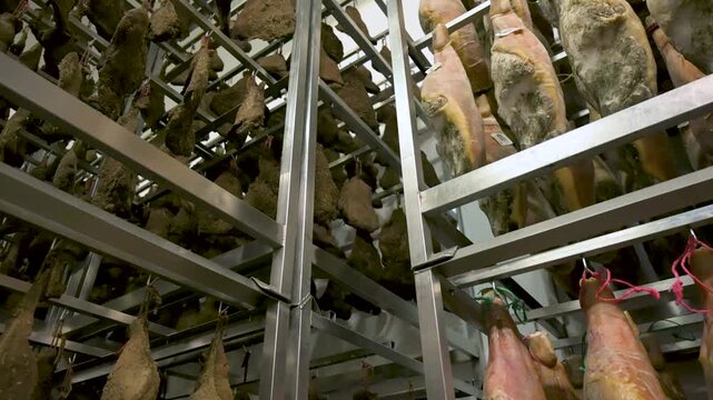 Vertical camera movement showing massive rows of cured hams and seasoned guanciale jowls on stainless steel racks inside a curing factory warehouse
