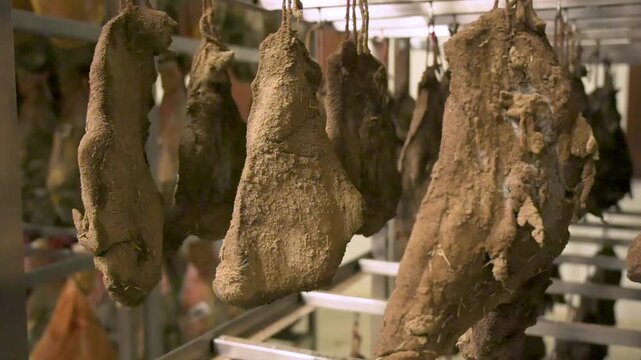 Close up pan of authentic Italian guanciale pieces coated in spices aging on steel racks inside a commercial curing cellar