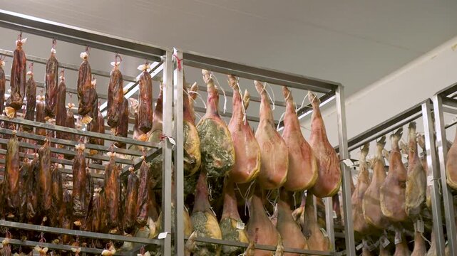 Tracking shot of authentic Spanish hams and cured pork loins aging on stainless steel racks inside an industrial curing cellar facility