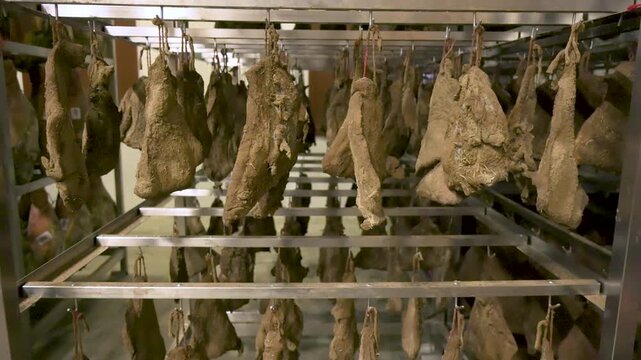 Low angle vertical camera movement showing massive rows of seasoned guanciale pork jowls aging inside a commercial curing factory