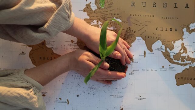 Hands protecting a growing plant on a world map symbolizing that the future of the planet depends on human choices environmental care and collective responsibility