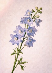 Fototapeta premium Delicate floral art poster image