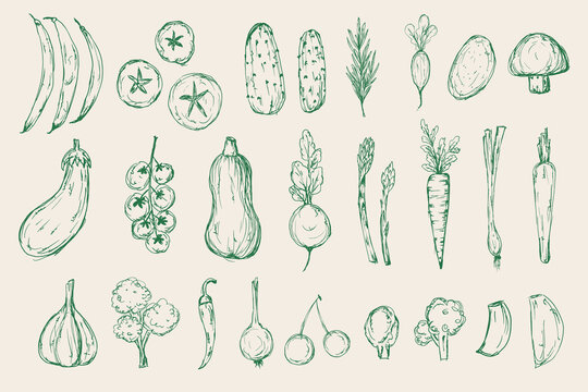 Sketch green vegetables vector set. Hand drawn messy rough drawing of organic fresh vegetables for packaging, farmers market, menu, cookbook, posters. 