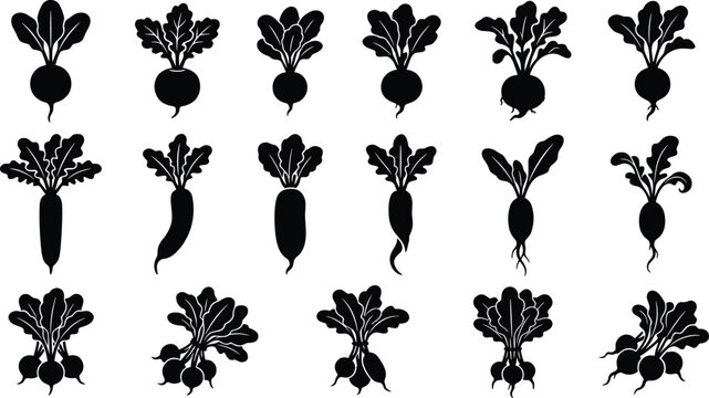 Root Vegetable Silhouette Icon Set with Radish Beetroot Turnip and Carrot Poses for Healthy Cooking Blogs Vegan Restaurant Menus and Organic Farming Branding Vector Designs