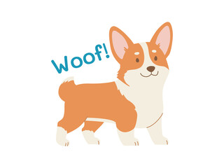 Fototapeta premium Happy standing corgi dog, side view - sticker with a text Woof. Flat color Illustration on a transparent background