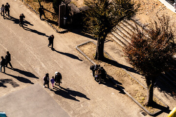 Obraz premium Aerial top down view of walkers descending the sloped path, a pair with a child in the center and a group resting by the tree on a sunlit park plaza in Japan, high angle city scene