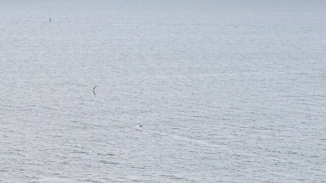 Lone kitesurfer riding across a calm sea bay leaving a white wake trail