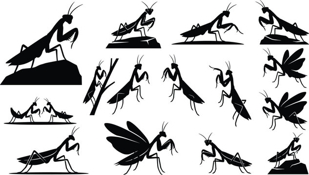 Praying Mantis Insect Silhouette Icon Set with Diverse Poses for Nature Conservation Education Logo Badges Wild Wildlife Branding and Graphic Vector Designs