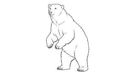Polar bear line art illustration, standing arctic bear vector drawing, minimalist wild animal coloring page, black and white wildlife sketch © Rehana