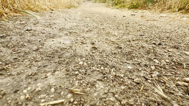 First raindrops soak into the dry, dusty dirt path. This refreshing shower brings a feeling of relief and quiet hope to the thirsty earth.
