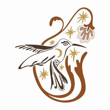 Minimalist mystical hummingbird vector with botanical elements, ornate crescent moon and wild flowers illustration, celestial bird line art, spiritual folk graphic design
