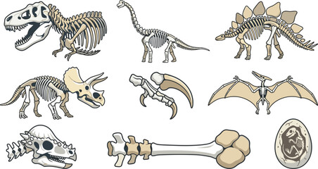 Dinosaur Skeleton and Fossil Bone Vector Illustration Set Featuring T-Rex, Triceratops, Stegosaurus, Pterodactyl, Claw, Skull, and Embryo Egg for Educational and Creative Designs © Sultana