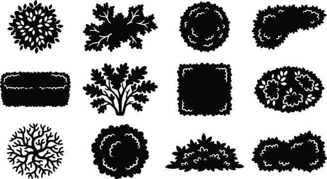 Bushes vector reference sheet top view and side view set garden landscaping plant flora silhouette asset pack