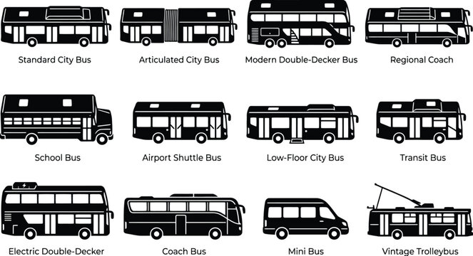 Buses vector reference sheet with public transit city bus school bus double decker vehicle silhouette collection