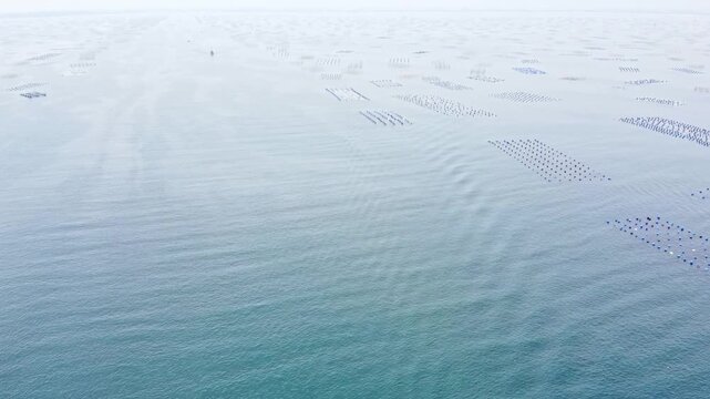 Aerial view of a boat sailing on a blue sea leaving a wake, with large marine aquaculture farm patterns in the background. High angle drone shot of ocean transportation.