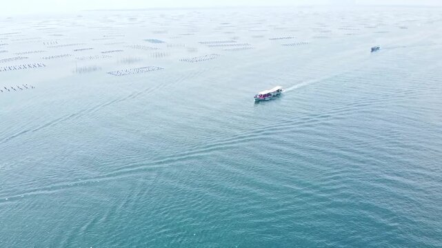 Aerial view of a boat sailing on a blue sea leaving a wake, with large marine aquaculture farm patterns in the background. High angle drone shot of ocean transportation.