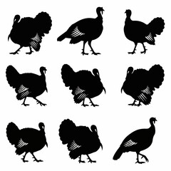 Bird turkey silhouette vectors isolated on white background © Sketch