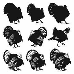 Clean white background showcasing turkey silhouette vector assortment set © Sketch