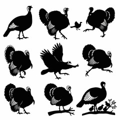 Collection featuring turkey silhouettes isolated on white vector background © Sketch