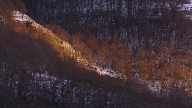 Aerial drone view of beech forests in the mountains of Burgos. Las Machorras, Pasiegos Valleys, Merindades, Burgos, Castile and Le&oacute;n, Spain, Europe