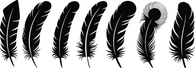 Bird feather silhouette collection set with different detailed shapes isolated on white background in black vector graphic style. © Yesrath Hasan Sobuj