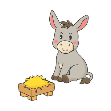 Cute burro, cartoon foal, vector donkey on white background. Vector illustration.