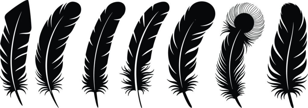 Bird feather silhouette collection set with different detailed shapes isolated on white background in black vector graphic style.