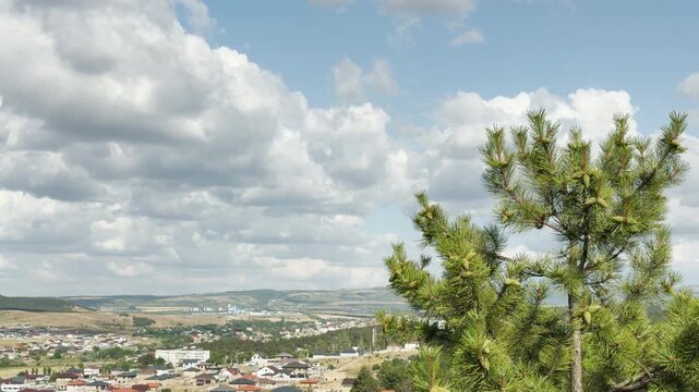 A green pine tree stands beautifully overlooking suburban houses spread across a wide valley in Crimea. Fluffy white clouds fill the blue sky, bringing a peaceful feeling of hopeful freedom.