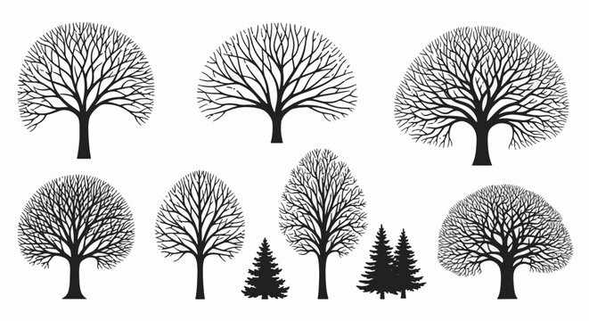 Set of black silhouettes of winter trees including leafless deciduous oaks and maples along with evergreen pine and spruce trees isolated on a white background for graphic design.