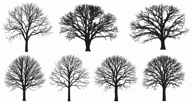 Collection of seven black silhouettes of leafless deciduous trees with intricate branch structures isolated on white background for winter landscape or architectural design.