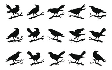 Fototapeta premium Halloween vector bundle black raven silhouettes perched on branches spooky design elements