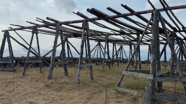 Traditional fish drying racks stand along the rugged coast of Iceland near Akranes, showcasing Iceland's rich fishing heritage in a scenic maritime landscape.