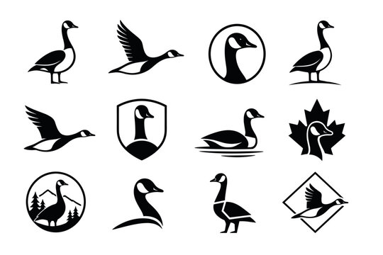 Canada goose vector logo set featuring black and white silhouettes of wild geese in flying, swimming, and standing poses for hunting and nature branding