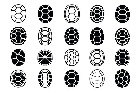 Turtle shell pattern vector icons set featuring various black and white geometric carapace designs for graphic design and branding