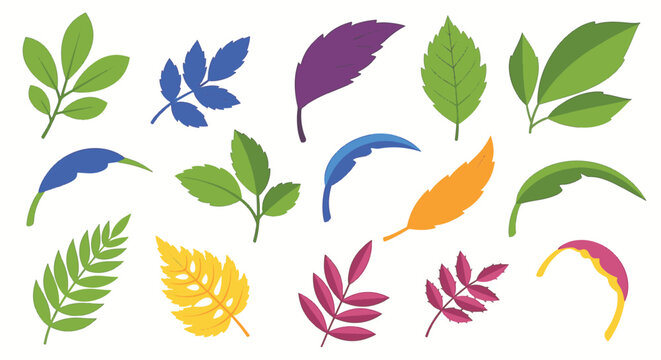 Set of colorful leaf illustrations featuring various shapes, sizes, and species variations including serrated, pinnate, and lobed leaves in shades of green, blue, purple, and yellow.