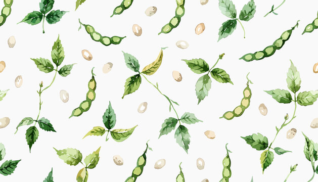 Elegant watercolor soybean wallpaper design element