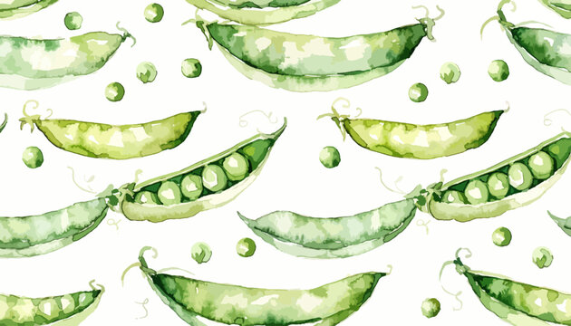 Hand Drawn Green Pea Watercolor