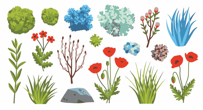 Vector illustration set of colorful arctic and tundra plants including red poppies, green moss, blue lichen, pussy willow branches, and wild grass isolated on a white background.