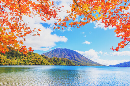 中禅寺湖、千手ヶ浜の紅葉　中央の山は男体山　日光市 栃木県