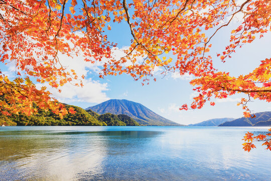 中禅寺湖、千手ヶ浜の紅葉　中央の山は男体山　日光市 栃木県